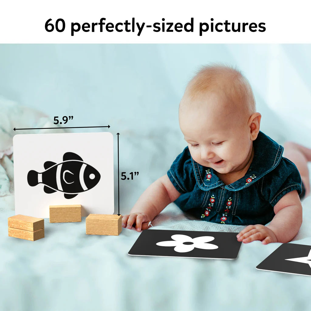 High Contrast Flash Cards for Infants